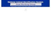 National Animal Identification System Goat Working Group Coming together is a beginning. Keeping together is progress. Working together is success. NIAA.