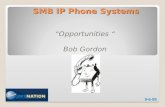 SMB IP Phone Systems Opportunities Bob Gordon 9-6-08.