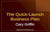 Griffin-Hammis and START-UP / USA The Quick-Launch Business Plan Cary Griffin.