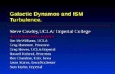 Galactic Dynamos and ISM Turbulence. Steve Cowley,UCLA/ Imperial College Alex Schekochihin, Imperial Jim McWilliams, UCLA Greg Hammett, Princeton Greg.