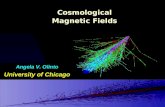 Cosmological Magnetic Fields Angela V. Olinto University of Chicago.