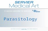 A service provided to medicine by Servier Medical Art by Servier is licensed under a Creative Commons Attribution 3.0 Unported License Parasitology A service.
