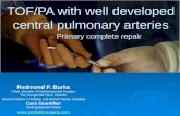 TOFPA: A Surgical Approach to Tetralogy of Fallot with Pulmonary Atresia