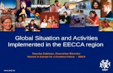 Global Situation and Activities Implemented in the EECCA region Sascha Gabizon, Executive Director Women in Europe for a Common Future - WECF .