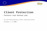 CLIENT PROTECTION PROTECTS YOUR BOTTOM LINE Client Protection Protects Your Bottom Line EU ACP Microfinance Peer Learning Event October 1-3 2008.