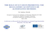 THE ROLE OF ECVAM IN PROMOTING THE REGULATORY ACCEPTANCE OF ALTERNATIVE METHODS Dr Andrew Worth European Centre for the Validation of Alternative Methods.