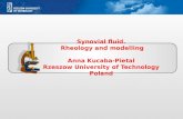 Synovial fluid. Rheology and modelling Rheology and modelling Anna Kucaba-Pietal Rzeszow University of Technology Poland.