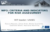 WP3: CRITERIA AND INDICATORS FOR RISK ASSESSMENT P leader: UNIBO WP3: CRITERIA AND INDICATORS FOR RISK ASSESSMENT WP leader: UNIBO Rocco Mazzeo, Silvia.