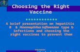 WHO/V&B/AVI Choosing the Right Vaccine A brief presentation on hepatitis B & Haemophilus influenzae type b infections and choosing the right vaccines to.