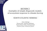 Diagnostic Models Herring ECOFOR 2012 SECTION 1 Examples of simple diagnostic models of ecosystem response to climate forcing NORTH ATLANTIC HERRING Marc.