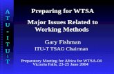 ATU-ITU|TATU-ITU|T Preparing for WTSA Major Issues Related to Working Methods Gary Fishman ITU-T TSAG Chairman Preparatory Meeting for Africa for WTSA-04.