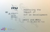 Assessing the Impact of ICT on Development – WSIS and MDGs ITU-UNU WSIS-MDG Team.