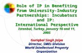 Role of IP in Benefiting from University-Industry Partnerships: Incubators and IP: International Perspective Istanbul, Turkey, January 10 and 11, 2005.