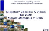 1 Conserving animals on the move for over 25 years Convention on Migratory Species United Nations Environment Programme Migratory Species: A Vision for.