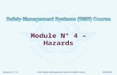 Revision N° 13ICAO Safety Management Systems (SMS) Course06/05/09 Module N° 4 – Hazards.
