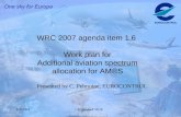 Feb 2004ICAO ACP WGF,1 WRC 2007 agenda item 1.6 Work plan for Additional aviation spectrum allocation for AM®S Presented by C. Pelmoine, EUROCONTROL.