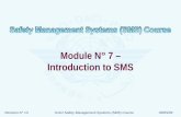 Revision N° 13ICAO Safety Management Systems (SMS) Course06/05/09 Module N° 7 – Introduction to SMS.