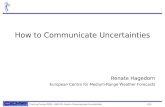 Training Course 2009 – NWP-PR: How to Communicate Uncertainties 1/33 How to Communicate Uncertainties Renate Hagedorn European Centre for Medium-Range.