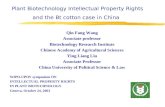 Plant Biotechnology Intellectual Property Rights and the Bt cotton case in China Qin Fang Wang Associate professor Biotechnology Research Institute Chinese.