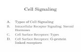 Cell Signaling A.Types of Cell Signaling B.Intracellular Receptor Signaling: Steroid Hormones C.Cell Surface Receptors: Types D. Cell Surface Receptors: