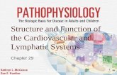 1 Structure and Function of the Cardiovascular and Lymphatic Systems Chapter 29.