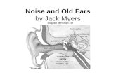 Noise and Old Ears by Jack Myers. 1 What is the meaning of the word decibel in paragraph 7 of the selection? Ο A. The loudest sound heard by human ears.
