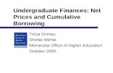 Undergraduate Finances: Net Prices and Cumulative Borrowing Tricia Grimes Shefali Mehta Minnesota Office of Higher Education October 2005.