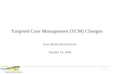 1 Targeted Case Management (TCM) Changes Iowa Medicaid Enterprise October 14, 2008.