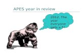 APES year in review 2012, The year everyone gets a 5!