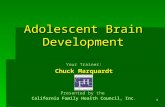 1 Adolescent Brain Development Your Trainer: Chuck Marquardt Presented by the California Family Health Council, Inc.