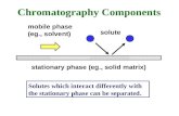 Chromatography Components stationary phase (eg., solid matrix) mobile phase (eg., solvent) solute Solutes which interact differently with the stationary.