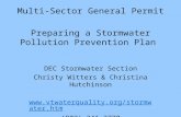 Multi-Sector General Permit Preparing a Stormwater Pollution Prevention Plan DEC Stormwater Section Christy Witters & Christina Hutchinson .