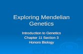 Exploring Mendelian Genetics Introduction to Genetics Chapter 11 Section 3 Honors Biology.