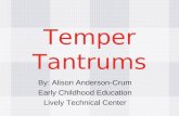 Temper Tantrums By: Alison Anderson-Crum Early Childhood Education Lively Technical Center.