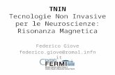 TNIN Tecnologie Non Invasive per le Neuroscienze: Risonanza Magnetica Federico Giove federico.giove@roma1.infn.it.