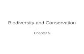 Biodiversity and Conservation Chapter 5. Section 1 vocabulary (2) 1.extinction, 2.biodiversity.