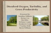 Dissolved Oxygen, Turbidity, and Gross Productivity Presented By: Jonathan Williams Kerian Cox Ben Beha DeAntae Cooper Kenderick Craig Tnachus Kelly Byron.