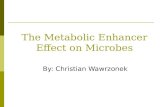 By: Christian Wawrzonek The Metabolic Enhancer Effect on Microbes.