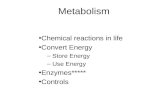 Metabolism Chemical reactions in life Convert Energy – Store Energy – Use Energy Enzymes***** Controls.