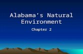 Alabamas Natural Environment Chapter 2. Lesson 1 – Alabamas Regions Our state has many different kinds of landforms. The green areas on the map are the.