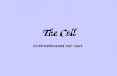 The Cell Leslie Gushwa and Josh Klock Cell Parts Cell Membrane, Cell Wall, CytoplasmCell Membrane, Cell Wall, Cytoplasm Protein Production - Nucleus,