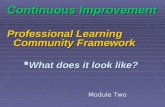 Continuous Improvement Professional Learning Community Framework What does it look like? What does it look like? Module Two.