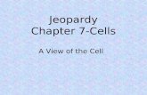 Jeopardy Chapter 7-Cells A View of the Cell. The Cell Theory Famous Scientists Plasma Membrane Eukaryotic Cell Structure Structure of Plasma Membrane.