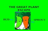 THE GREAT PLANT ESCAPE BUD SPROUT. My name is Bud. My friend Sprout & I are helping the Detective finds clues to solve the great mysteries of plants.