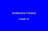 Endocrine Control Chapter 32. An Orchestra of Hormones Hormones influence the growth, development, and reproductive cycles of nearly all animals They.