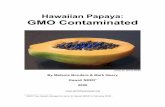 Hawaiian Papaya: GMO Contaminated