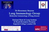 Dr Rosemary Boyton Lung Immunology Group Molecular immunology of lung disease National Heart & Lung Institute & Royal Brompton Hospital Imperial College.