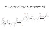 POLYSACCHARIDE STRUCTURE. References Tombs, M.P. & Harding, S.E., An Introduction to Polysaccharide Biotechnology, Taylor & Francis, London, 1997.