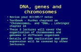 DNA, genes and chromosomes Revise your BI1505/7 notes Textbook - Purves chapters on Chromosomes… and DNA…, Lehninger chapter 24 These 3 lectures will cover.