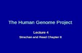 The Human Genome Project Lecture 4 Strachan and Read Chapter 8.
